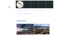 Desktop Screenshot of craigmalloch.com